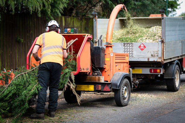 Best Tree Risk Assessment  in Prineville, OR